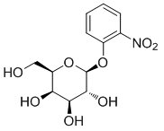 2-Nitrophenyl beta-D-galactopyranoside